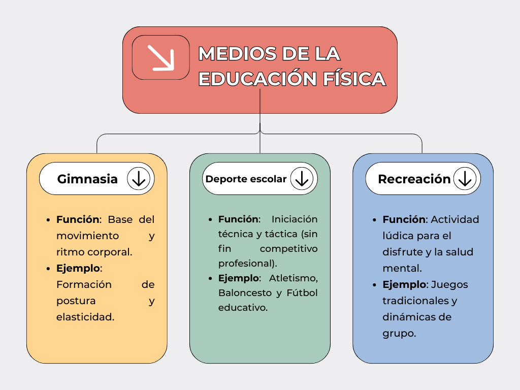 mapa-conceptual-de-la-educacion-fisica