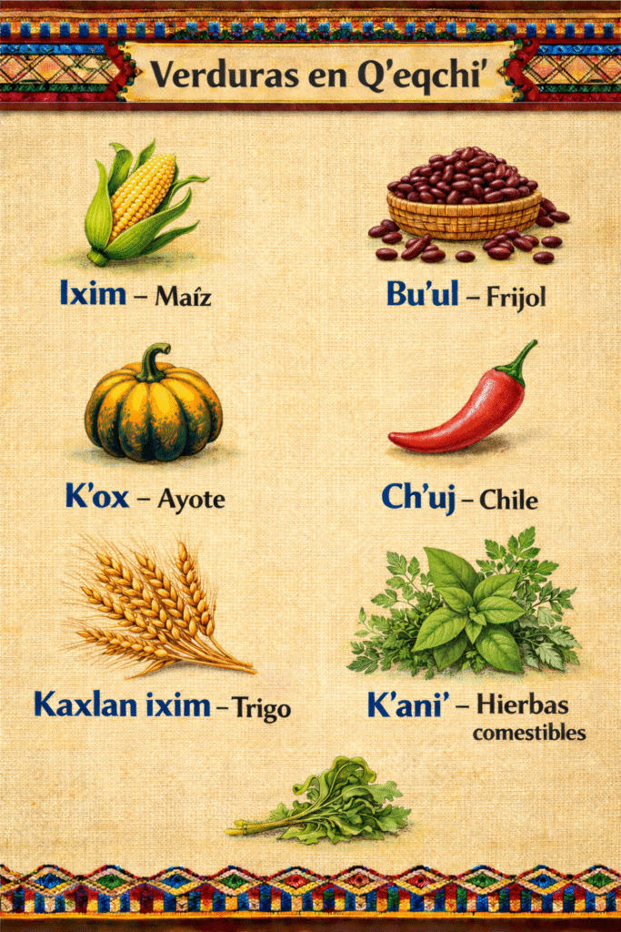verduras-en-qeqchi.
